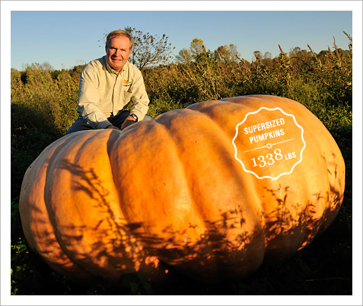 Ford Farm Market About