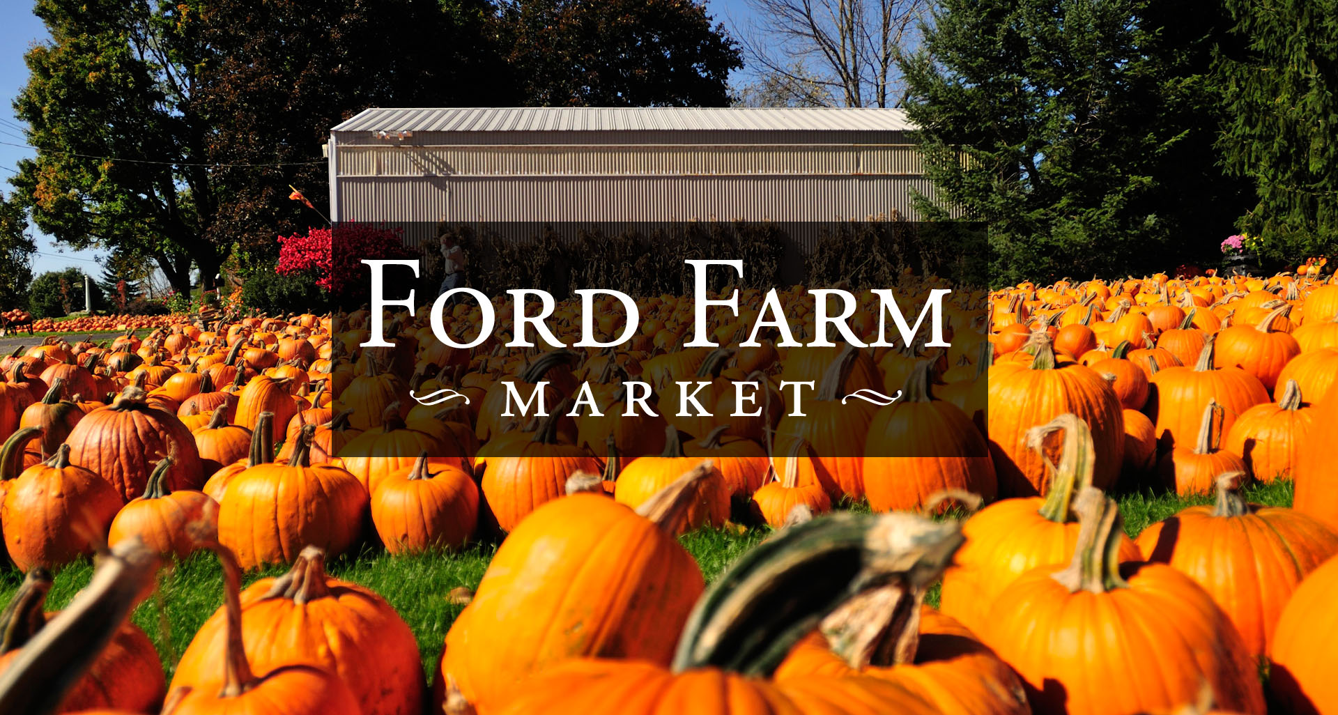 Ford Farm Market